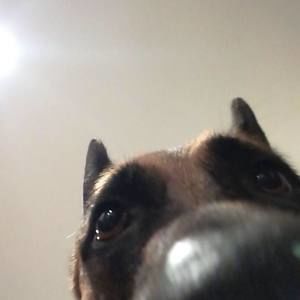 Meet your Posher, Jeffrey